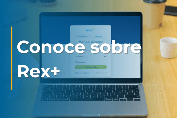 Conoce sobre Rex+